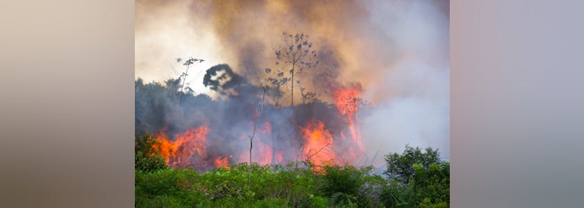 Brazilian Amazon Burning