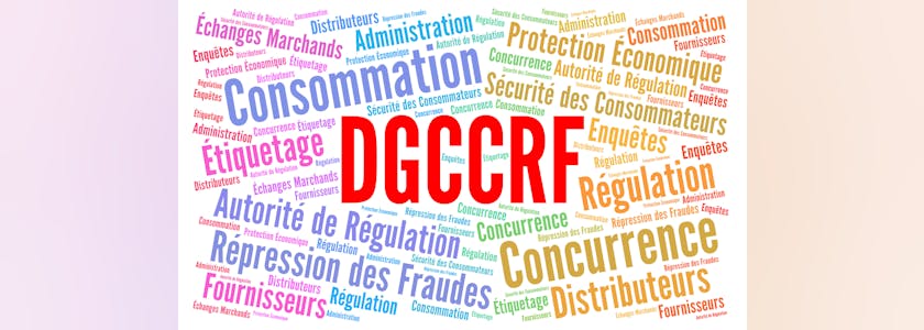 DGCCRF nuage de mots