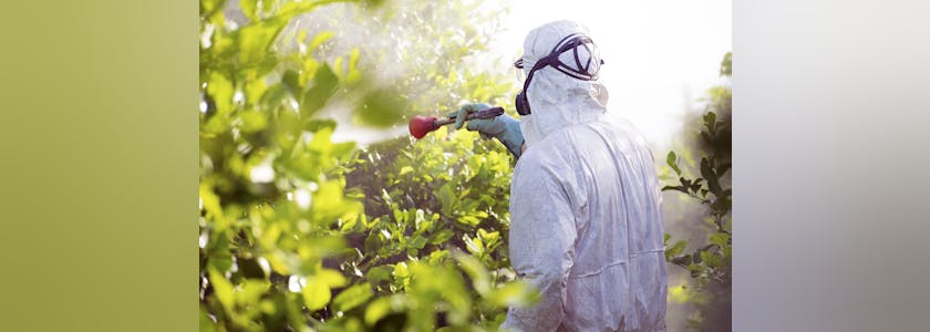 Pesticides, agriculture