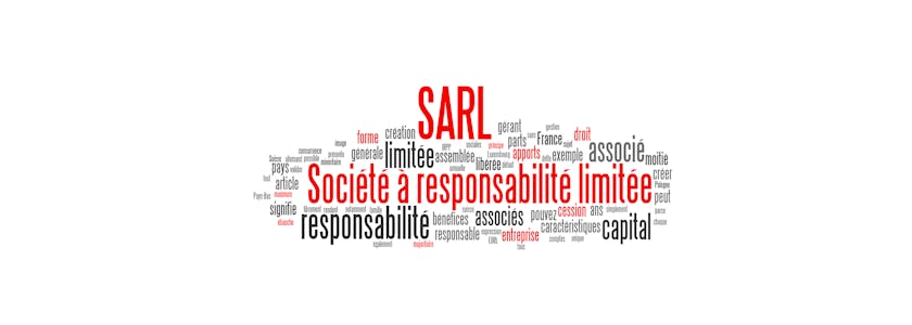 SARL (Société à responsabilité limitée)