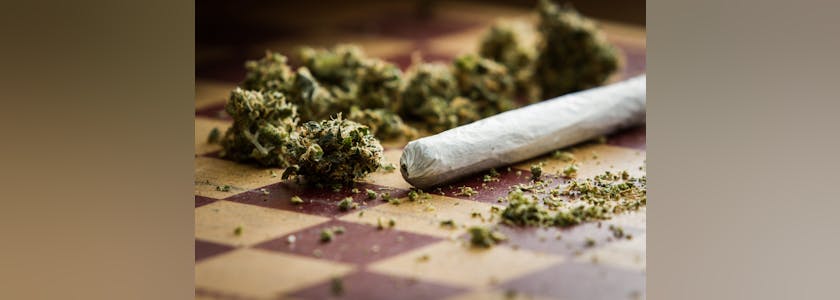 marijuana joint closeup