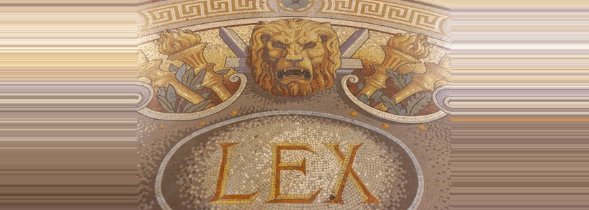 Lex illustration