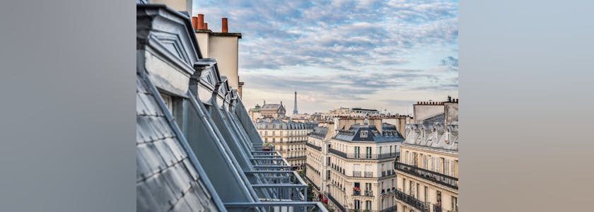 Roofs of Paris with Eiffel Tower in background